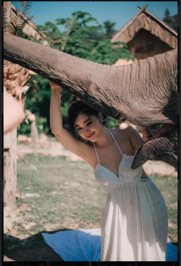 3 Pok Maewang Jinxiang Gold Elephant Park Mae Wang 외부 사진