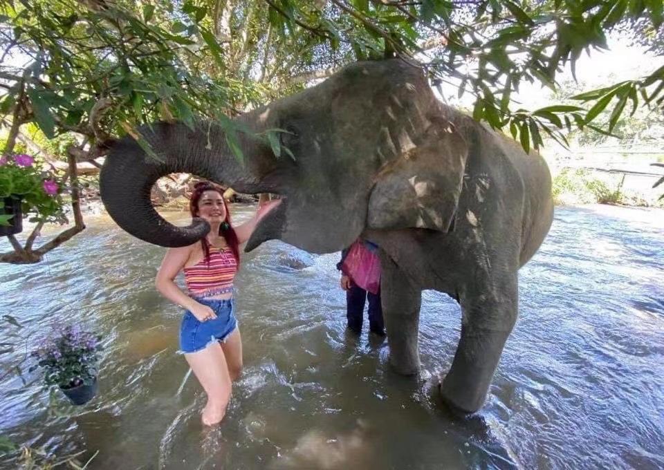 3 Pok Maewang Jinxiang Gold Elephant Park Mae Wang 외부 사진